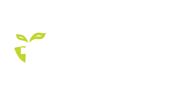 The Dalton Foundation